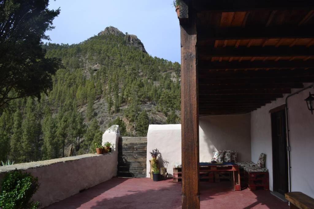 Casa Rural Lomito Del Pino Техеда Екстер'єр фото