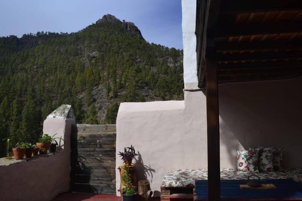 Casa Rural Lomito Del Pino Техеда Екстер'єр фото