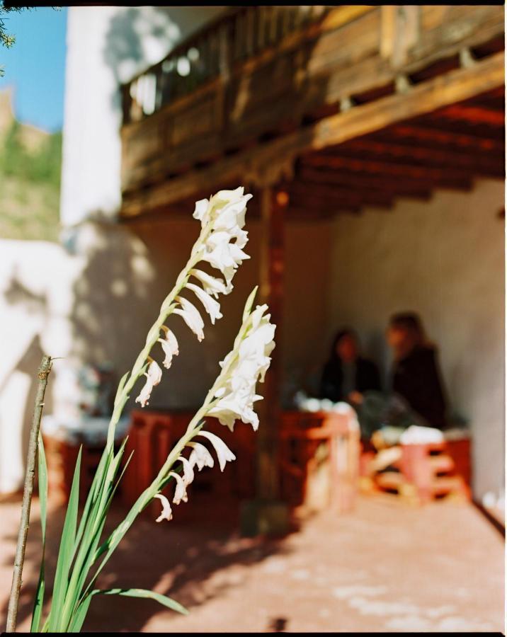 Casa Rural Lomito Del Pino Техеда Екстер'єр фото