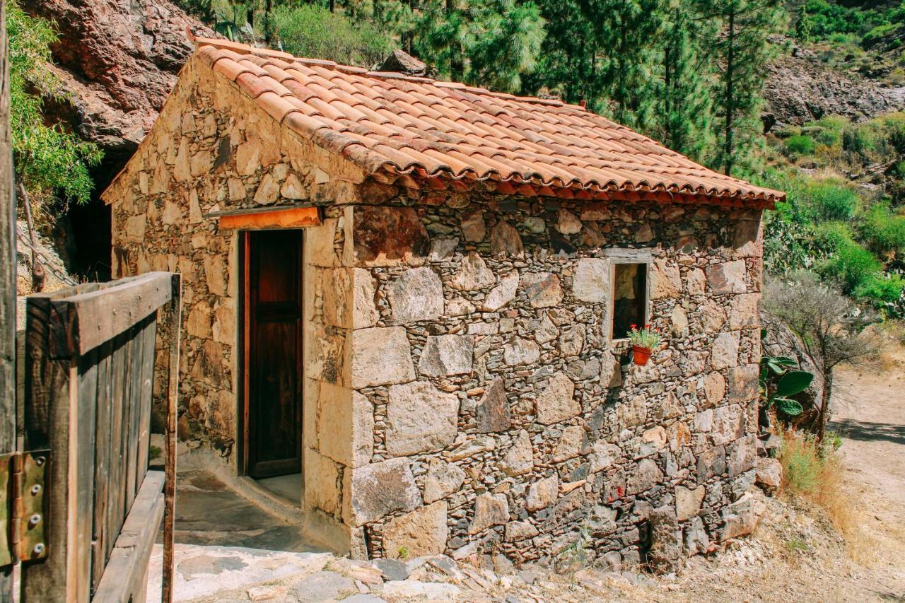 Casa Rural Lomito Del Pino Техеда Екстер'єр фото
